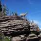 Glacier National Park
