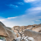 Joshua Tree National Park