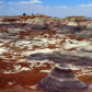 Petrified Forest National Park