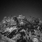 White River National Forest