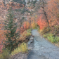 Zion National Park 