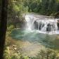 Gifford Pinchot National Forest 