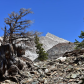 Sequoia National Park