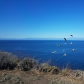 Channel Islands National Park