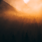 Yosemite National Park