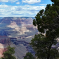 Grand Canyon National Park