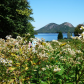Acadia National Park