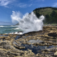 Siuslaw National Forest