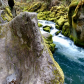 Umpqua National Forest 