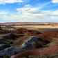 Petrified Forest National Park