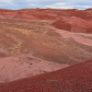 Petrified Forest National Park