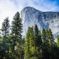 Yosemite National Park