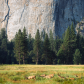 Yosemite National Park