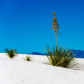 White Sands National Monument