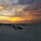 Cumberland Island National Seashore