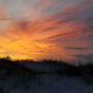 Cumberland Island National Seashore