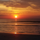 Cumberland Island National Seashore