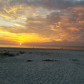 Cumberland Island National Seashore