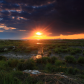 Jamaica Bay Wildlife Refuge