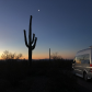 Organ Pipe Cactus National Monument
