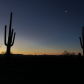 Organ Pipe Cactus National Monument 