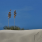 White Sands National Monument