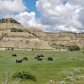 Theodore Roosevelt National Park
