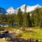 Inyo National Forest