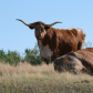 Grant-Kohrs Ranch National Historic Site