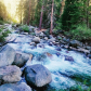 Sequoia National Park