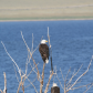 Beaverhead-Deerlodge National Forest