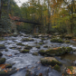 Great Smoky Mountains National Park