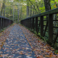 Great Smoky Mountains National Park