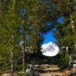 Inyo National Forest