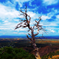 Mesa Verde National Park
