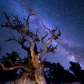 Great Basin National Park