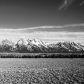 Grand Teton National Park