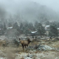 Rocky Mountain National Park