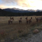 Rocky Mountain National Park