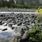Olympic National Park