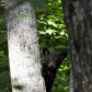 Shenandoah National Park