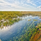 Everglades National Park