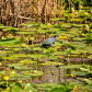 Everglades National Park