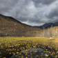 Rocky Mountain National Park