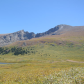 Pike National Forest