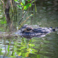 Everglades National Park