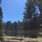Sequoia National Park