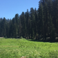 Sequoia National Park