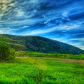 Acadia National Park 