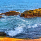 Acadia National Park 